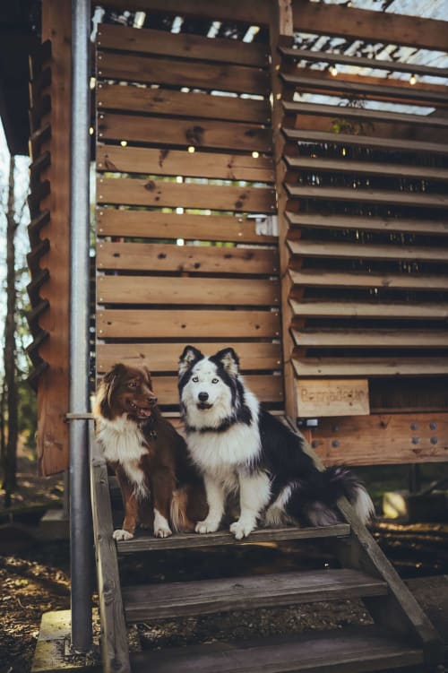 Pet-friendly private spa lodge stay in Épinal, Vosges