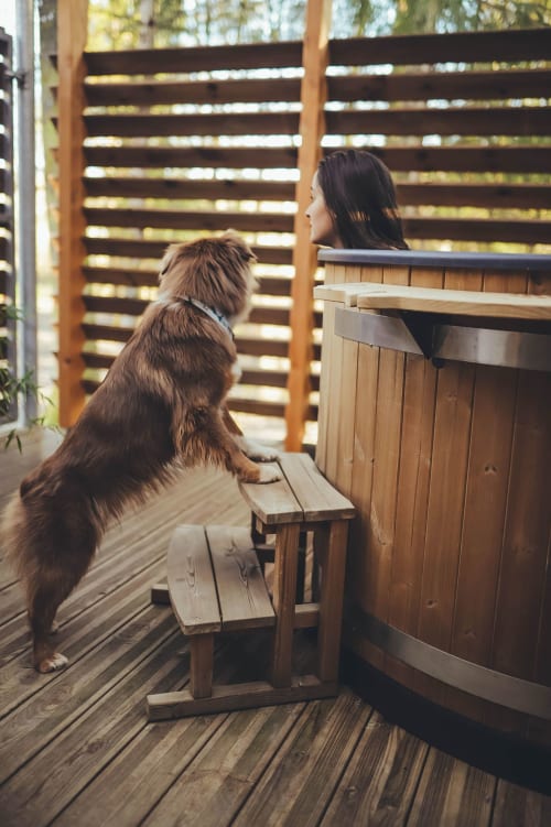 Heated Nordic bath in a dog-friendly lodge, Épinal Vosges