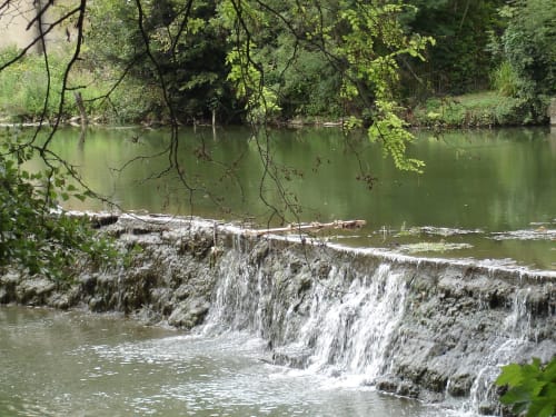 Cascade et rivière verdoyante sous les arbres surplombants du Clos des Moulins, charmante maison d'hôtes près de Poitiers.