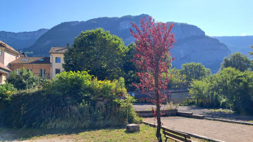Maison de Sophie cottage exterior in Rencurel with red ivy-covered tree, green gardens, and mountain backdrop