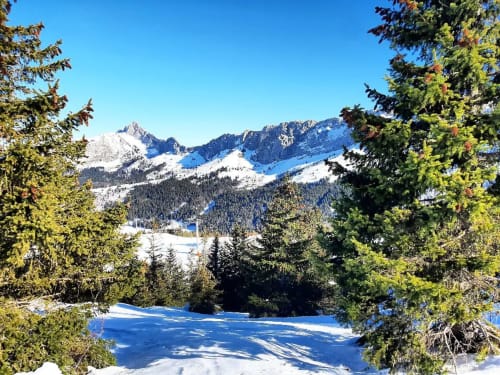 Snow-covered mountain landscape with frozen lake and evergreen trees near Maison de Sophie in Rencurel, France