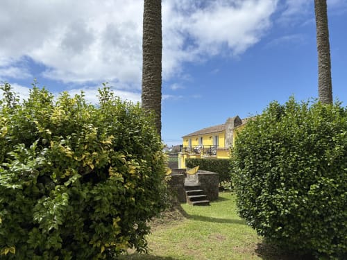 Garden pathway with hedges leading to yellow Villa Várzea guesthouse in Várzea, Portugal, framed by palm trees