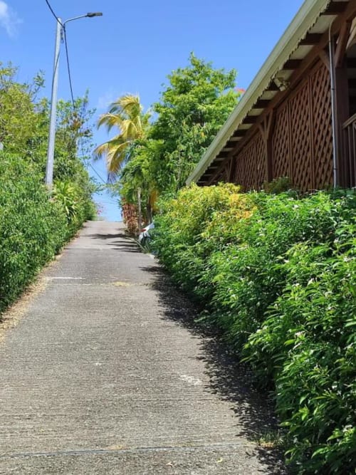 Allée verdoyante du Gîte Tainaco à Vieux-Habitants, Guadeloupe, menant à une structure en bois avec vue sur mer