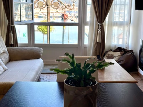Luminoso apartamento frente al mar en Baiona con vistas al océano, mobiliario moderno, planta decorativa y amplios ventanales con vista a la costa