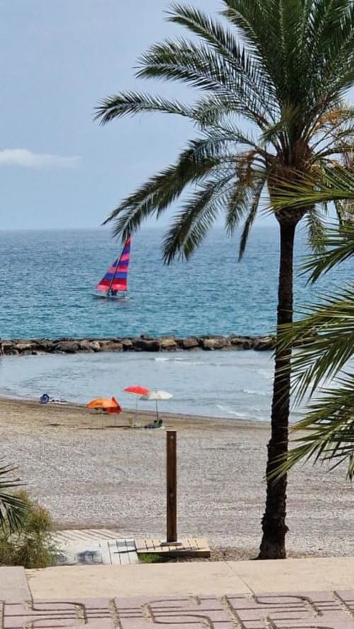 Vista de la playa de Benicàssim con palmera, velero colorido y sombrillas desde el apartamento MiramaRent