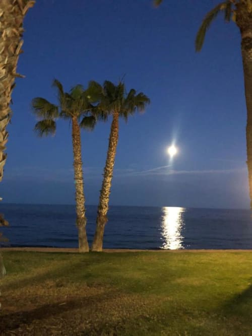 Vista de playa bajo la luz de la luna con palmeras en MiramaRent, Benicàssim