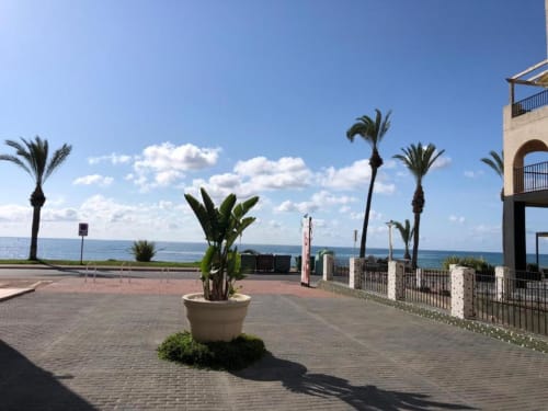 Paseo frente al mar en Regata Apartment con palmeras, plantas en maceta y vistas al Mar Mediterráneo en Benicàssim