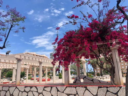 Patio de Benicàssim con flores de buganvilia magenta vibrante, columnas de pérgola blanca y arquitectura mediterránea
