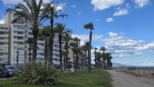 Edificio de apartamentos en primera línea de playa de Benicàssim con palmeras, jardines verdes y vistas mediterráneas