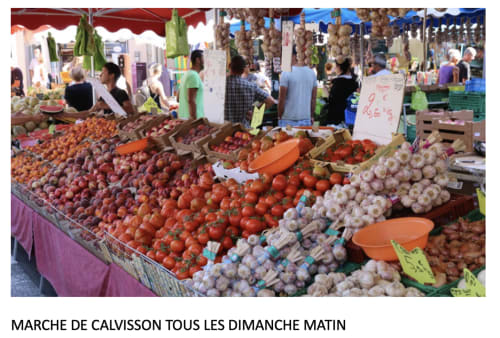 Vibrant Calvisson market display with fresh tomatoes, garlic, and produce under umbrellas