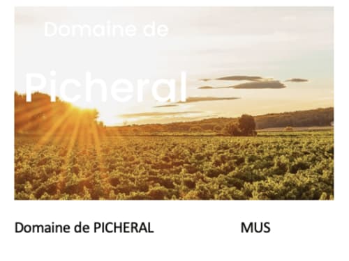 Domaine de Picheral vineyard at sunset near Boissieres, France - La Conciergerie De Franck