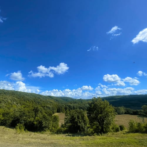 Colline verdi ondulate e valli boscose intorno a Torre Della Chiocciola vicino a Monteriggioni, Siena, sotto un cielo azzurro