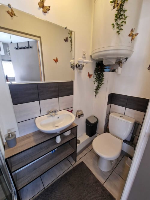 Salle de bain du studio Le Loup à Lamotte-Beuvron avec lavabo, miroir, toilettes et décoration murale papillons, offrant praticité et confort pour un séjour en Sologne