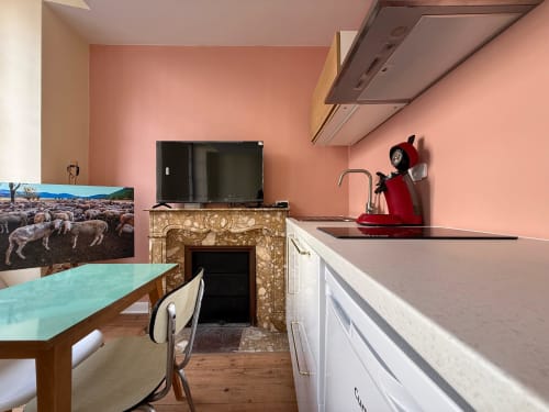 Gemütliches renoviertes Studioappartement mit Küche in Lourdes: rosa Wände, Essbereich, TV und moderne Geräte