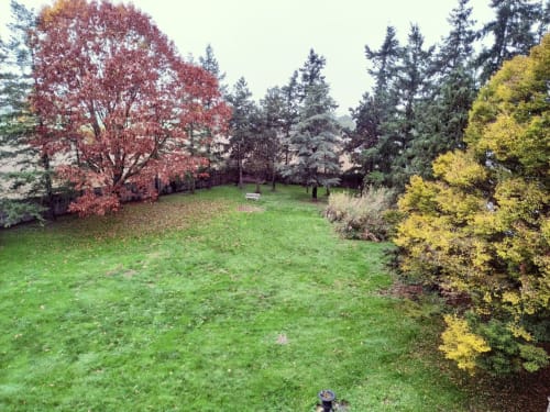 Jardin d'automne du Château de Bellevue avec arbres rouges et dorés encadrant une pelouse verte, Sainte-Cécile près du Puy du Fou