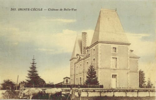 Château de Belle-Vue à Sainte-Cécile, demeure historique en pierre avec tours pointues et cheminées caractéristiques, entourée de