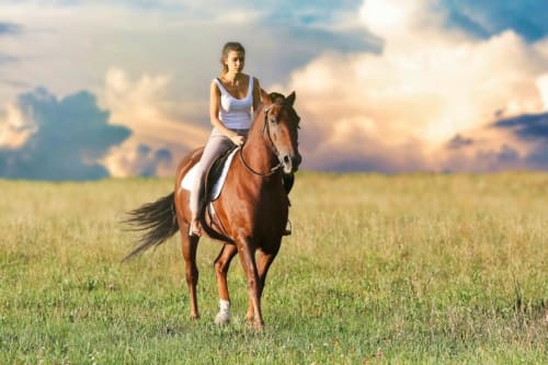 Mujer cabalgando a caballo marrón en prado verde en Tradición Rural, hotel rural en Nieva, España