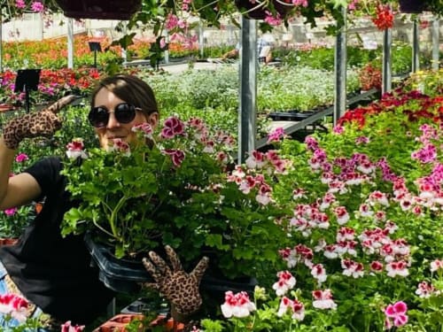 Woman at Auberge Nemoz flower greenhouse surrounded by pink and white blooming flowers in Le Haut-Bréda