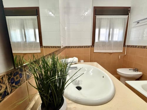 Baño del apartamento Bitácora en Baiona con doble lavamano, lavabo blanco, espejos y planta decorativa