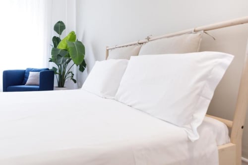 Modern bedroom at Bluemoon Sardinia with white bedding, beige headboard, and potted plant in Cagliari