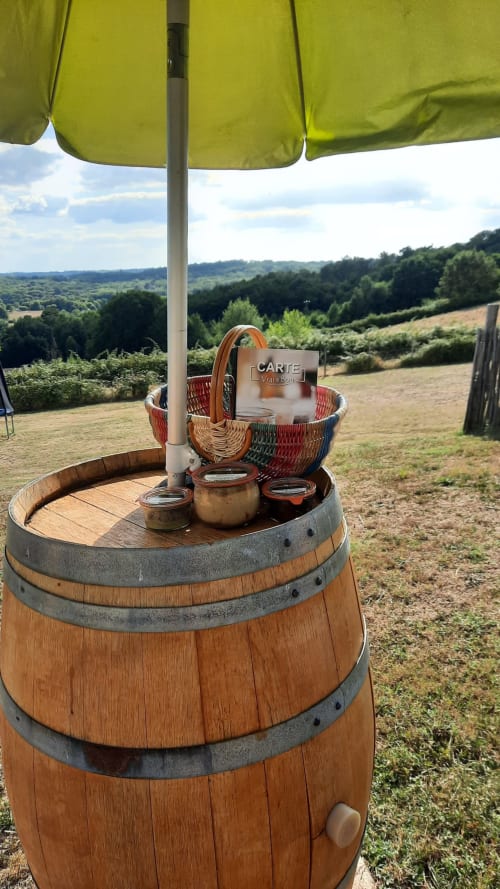 Table rustique en tonneau de vin avec panier de pique-nique sous parasol vert surplombant la campagne aquitaine à Home Sweet Lodge