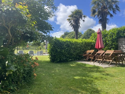 Jardin des Gîtes de L'Odet avec transats, parasol, palmiers et végétation luxuriante à Clohars-Fouesnant