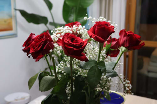 Rose rosse eleganti con respiro di bimbo bianco in vaso nell'appartamento THE V Collection a Sormano, Italia