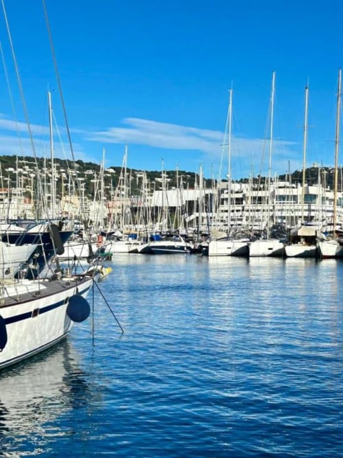 Cannes Location Vacances Saisonnière Luxe Plage Mer Croisette Centre Vue Standing Festival Palais Azur Riviera Apartment Rental Vacation Holiday Seasonal Luxury Beach Sea Riviera Croisette Downtown Terrace Balcony View Modern Premium Festival Palace Wohnung Miete Ferien Ferienwohnung Saisonal Luxus Strand Meer Riviera Zentrum Aussicht Modern Exklusiv Festival Palais Exclusif Prestige Confort Design Central Soleil Détente Voyage Tourisme Séjour Exklusiv Prestige Komfort Design Zentral Sonne Entspannung Reisen Tourismus Aufenthalt Exclusive Prestige Comfort Design Central Sun Relax Travel Tourism Stay