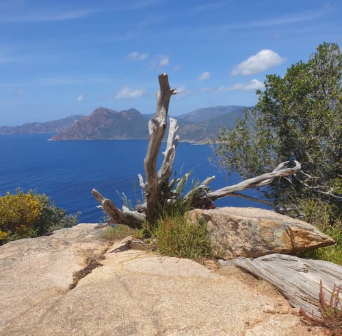 Propriano-corse-location-villa-plage