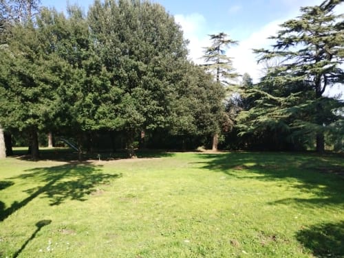Ampio giardino con alberi maestosi e prato curato a La Casa nel Parco, Campagnano di Roma