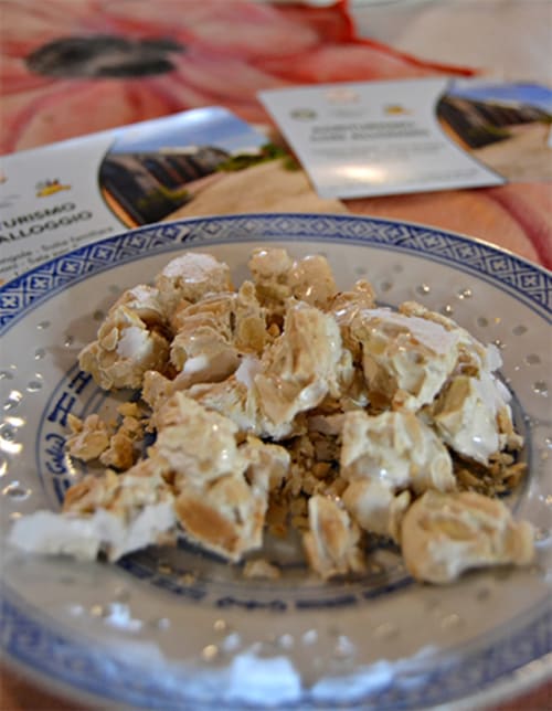 Pollo shredded su piatto con motivi blu presso la Corte delle Giuggiole B&B, Cologna Veneta