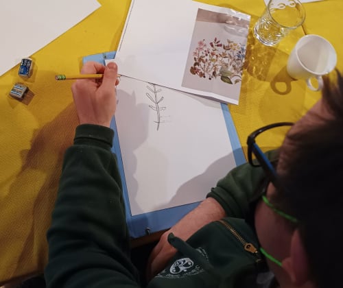 Una ospite disegna uno schizzo botanico presso la Corte delle Giuggiole B&B con materiali di riferimento su un tavolo giallo