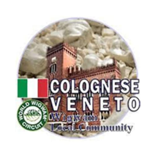 Logo di Cologna Veneta con bandiera italiana e torre - stemma della comunità locale