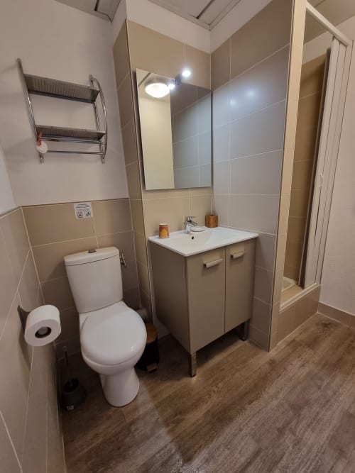 Equipped bathroom with shower, toilet, hairdryer, bath towel, shower gel, and hand soap.