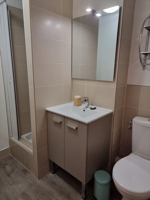 Equipped bathroom with shower, toilet, hairdryer, bath towel, shower gel, and hand soap.