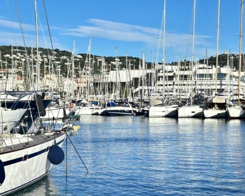 Cannes Location Vacances Saisonnière Luxe Plage Mer Croisette Centre Vue Standing Festival Palais Azur Riviera Apartment Rental Vacation Holiday Seasonal Luxury Beach Sea Riviera Croisette Downtown Terrace Balcony View Modern Premium Festival Palace Wohnung Miete Ferien Ferienwohnung Saisonal Luxus Strand Meer Riviera Zentrum Aussicht Modern Exklusiv Festival Palais Exclusif Prestige Confort Design Central Soleil Détente Voyage Tourisme Séjour Exklusiv Prestige Komfort Design Zentral Sonne Entspannung Reisen Tourismus Aufenthalt Exclusive Prestige Comfort Design Central Sun Relax Travel Tourism Stay