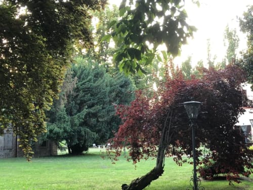 Giardino lussureggiante di Villa Dom a Piacenza con prato curato, muri ricoperti d'edera e alberi ornamentali