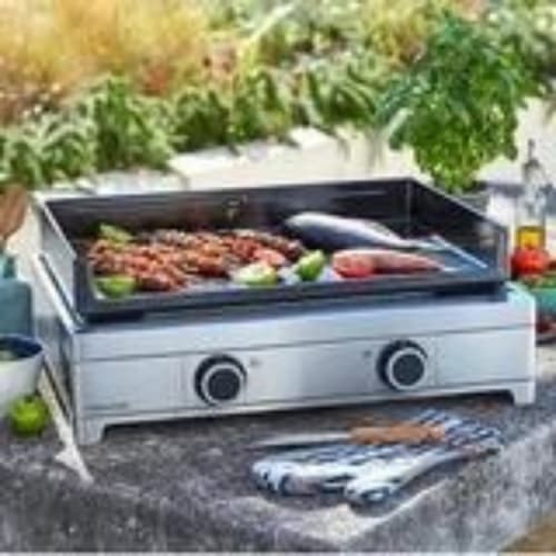 Barbecue portable avec légumes et poisson en cours de cuisson à Corse et Zen, Taglio Isolaccio