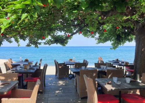Beachfront dining area at Corse et Zen with tables under leafy canopy overlooking turquoise Mediterranean sea