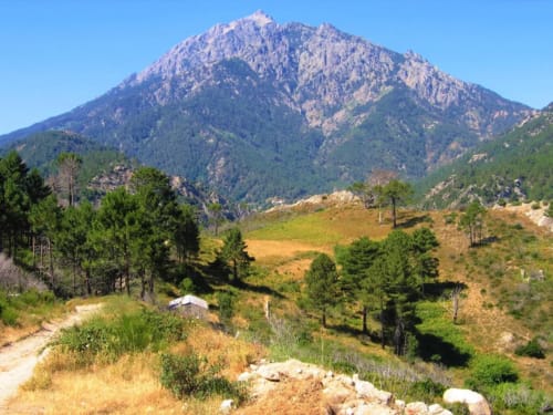 Mountain valley view with forested slopes and meadows near Corse et Zen, Taglio Isolaccio