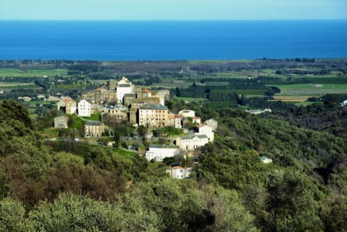 Aerial view of Corse et Zen hotel perched on hilltop in Taglio Isolaccio, Corsica, surrounded by lush forests and farmland