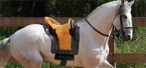 Cavalo branco com sela laranja e preta em Gomes Equestre Alojamento em Golegã, Portugal