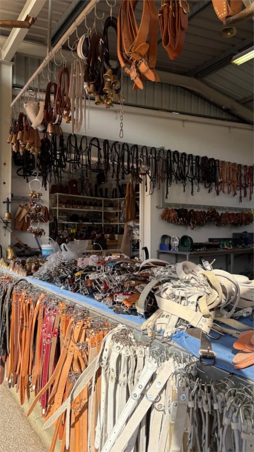 Sala de arreios no Gomes Equestre Alojamento em Golegã com selas, bridões e equipamentos de couro organizados.