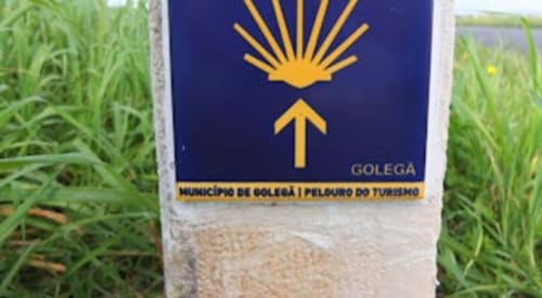 Marcador do Caminho de Santiago para a rota turística de Golega, Portugal, com concha amarela e símbolo de seta em poste de pedra