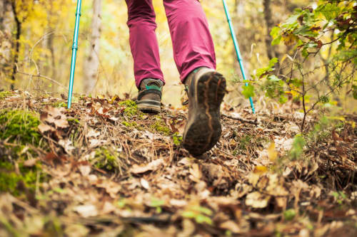 Randonneur en pantalon bordeaux et bottes de trekking parcourant un sentier forestier à Rodrigues avec des bâtons de marche