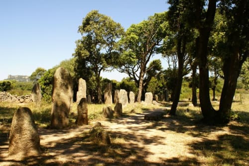 Ancienne allée de menhirs bordée de grands arbres à Vista D'oro, Monacia d'Aullène, France