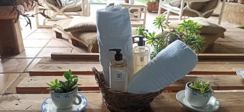 Aménagement spa au B&B Can Gat Vell Girona : serviettes, produits de toilette et plantes grasses en pot sur table en bois