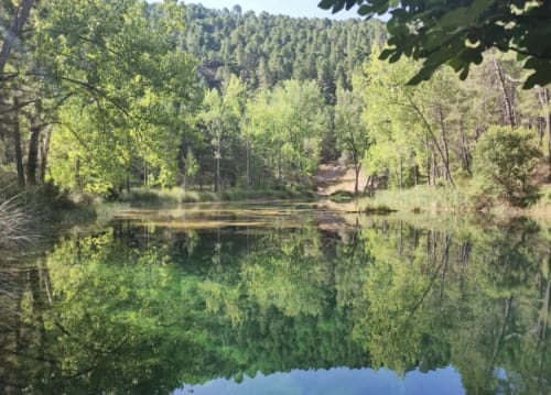 Sereno río del bosque con exuberantes árboles verdes reflejándose en el agua tranquila en Alojamientos con Alma, Blanca, España