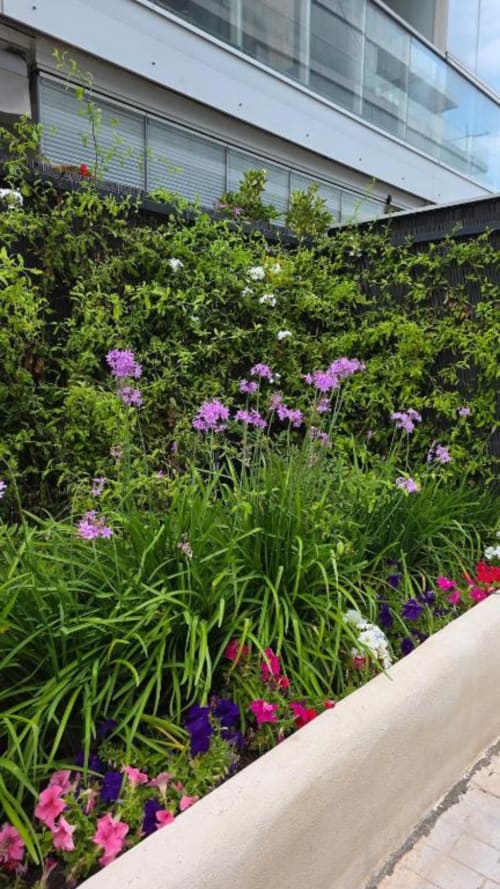 Jardín de flores coloridas con phlox púrpura, petunias rosa y flores blancas en el apartamento MiramaRent en Benicàssim