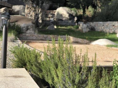 Lavender plants in garden at Sweet Holiday cottage, Porto-Vecchio, with stone landscaping and outdoor seating area